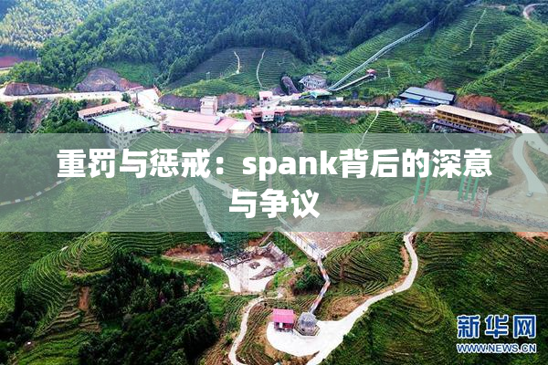 重罚与惩戒：spank背后的深意与争议