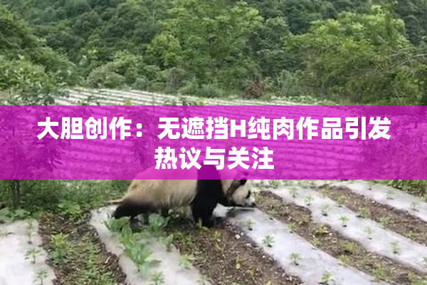 大胆创作：无遮挡H纯肉作品引发热议与关注