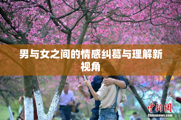 男与女之间的情感纠葛与理解新视角