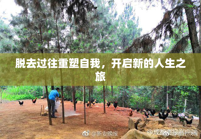 脱去过往重塑自我，开启新的人生之旅
