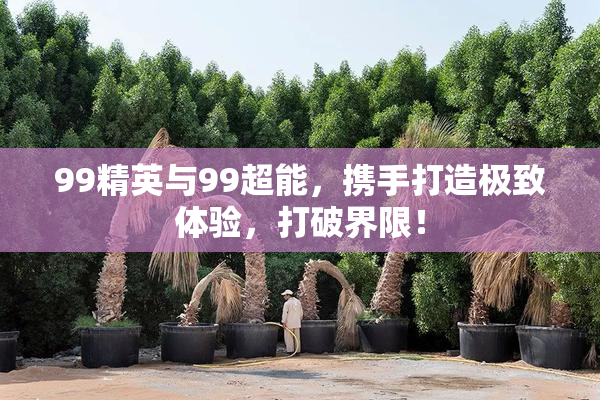 99精英与99超能，携手打造极致体验，打破界限！