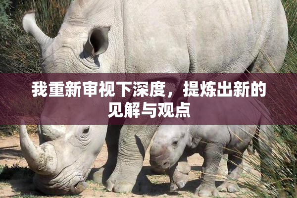 我重新审视下深度，提炼出新的见解与观点