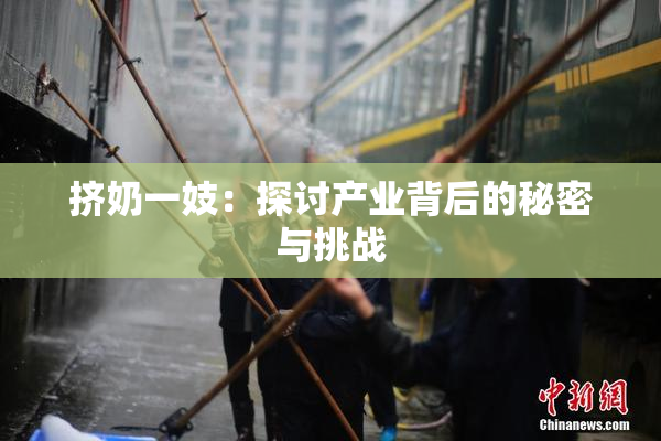 挤奶一妓：探讨产业背后的秘密与挑战