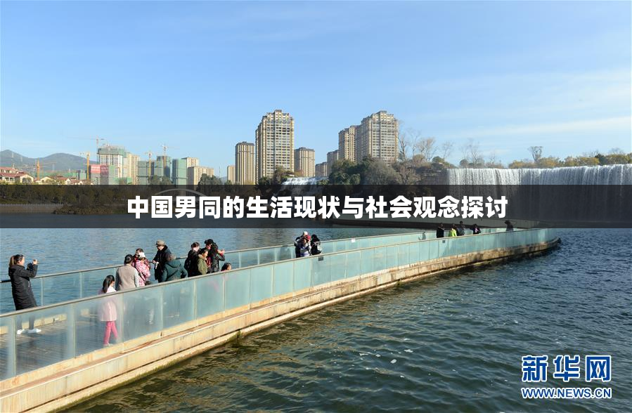 中国男同的生活现状与社会观念探讨