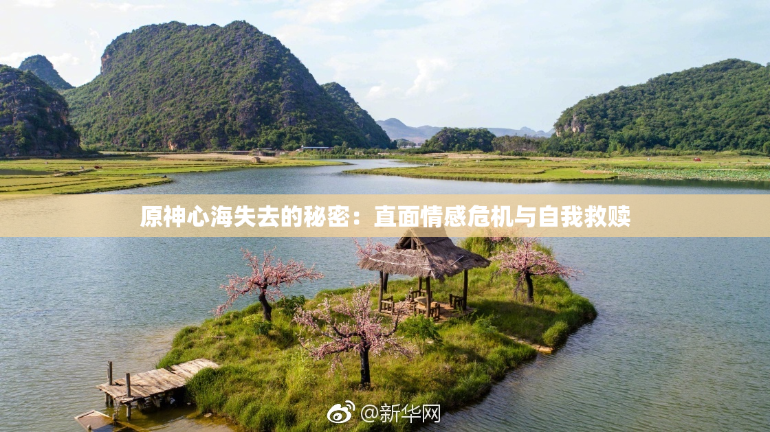 原神心海失去的秘密：直面情感危机与自我救赎