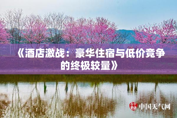 《酒店激战：豪华住宿与低价竞争的终极较量》