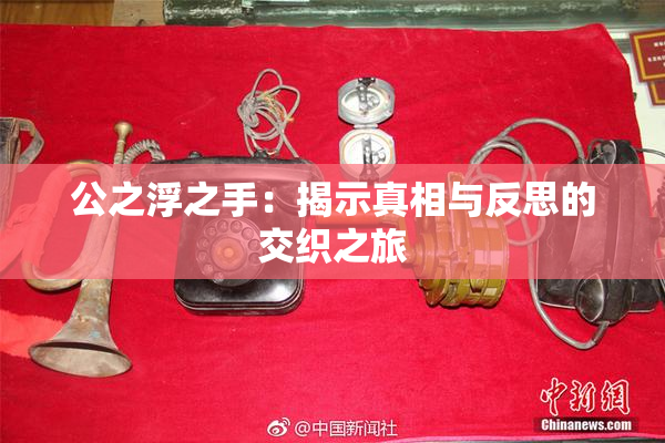 公之浮之手：揭示真相与反思的交织之旅