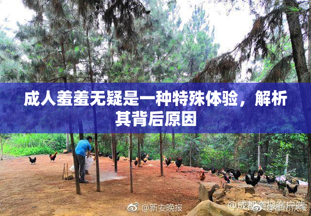 成人羞羞无疑是一种特殊体验，解析其背后原因