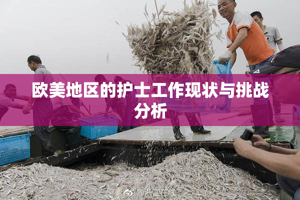 欧美地区的护士工作现状与挑战分析