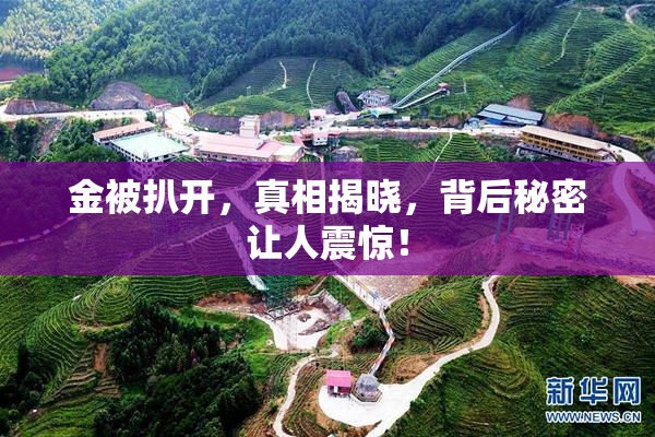 金被扒开，真相揭晓，背后秘密让人震惊！