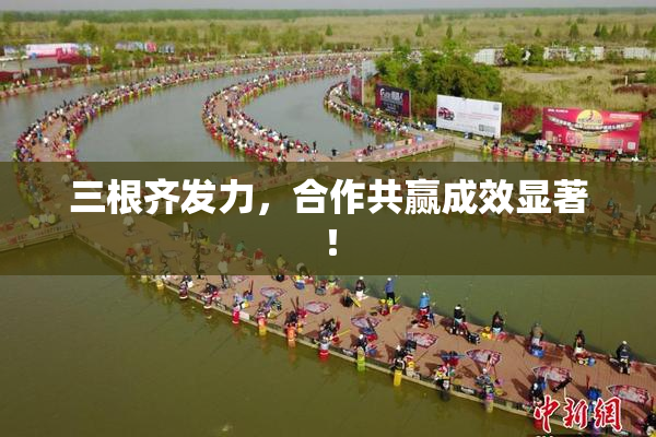 三根齐发力，合作共赢成效显著！