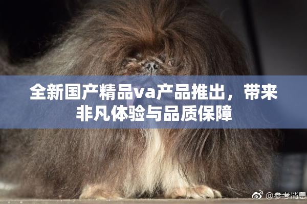全新国产精品va产品推出，带来非凡体验与品质保障