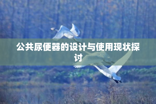 公共尿便器的设计与使用现状探讨
