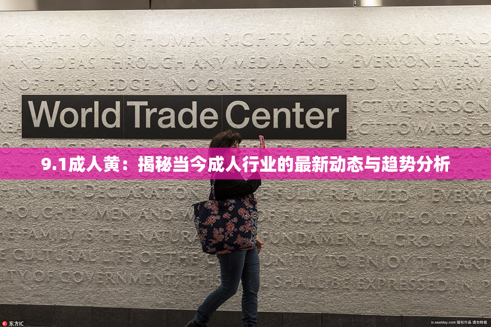 9.1成人黄：揭秘当今成人行业的最新动态与趋势分析