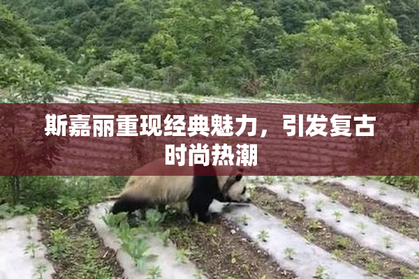 斯嘉丽重现经典魅力，引发复古时尚热潮