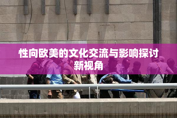 性向欧美的文化交流与影响探讨新视角
