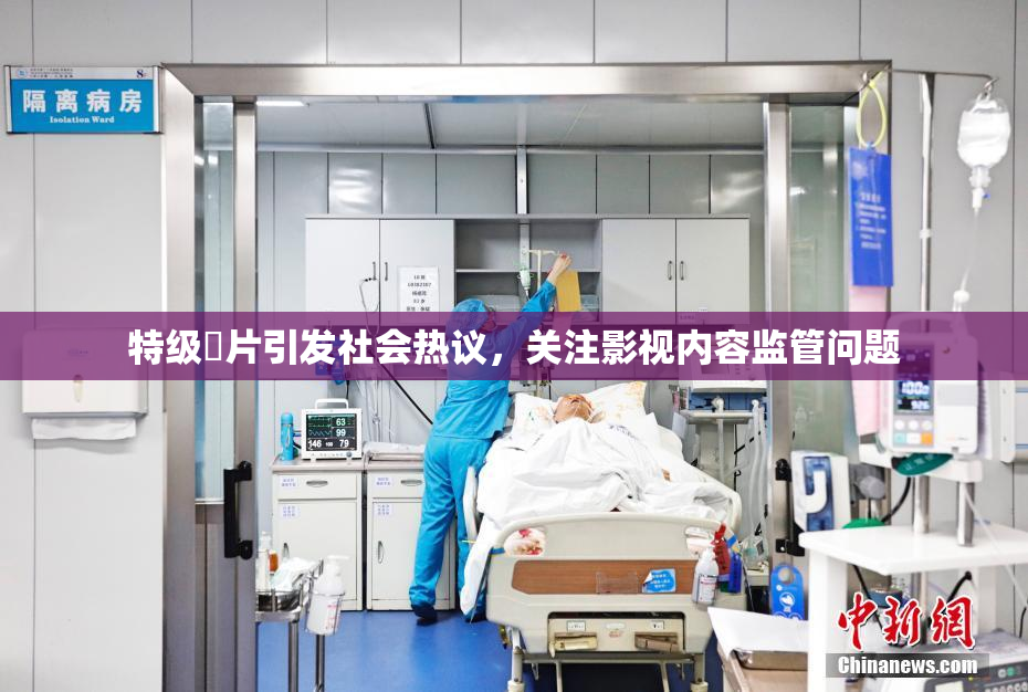 特级婬片引发社会热议，关注影视内容监管问题