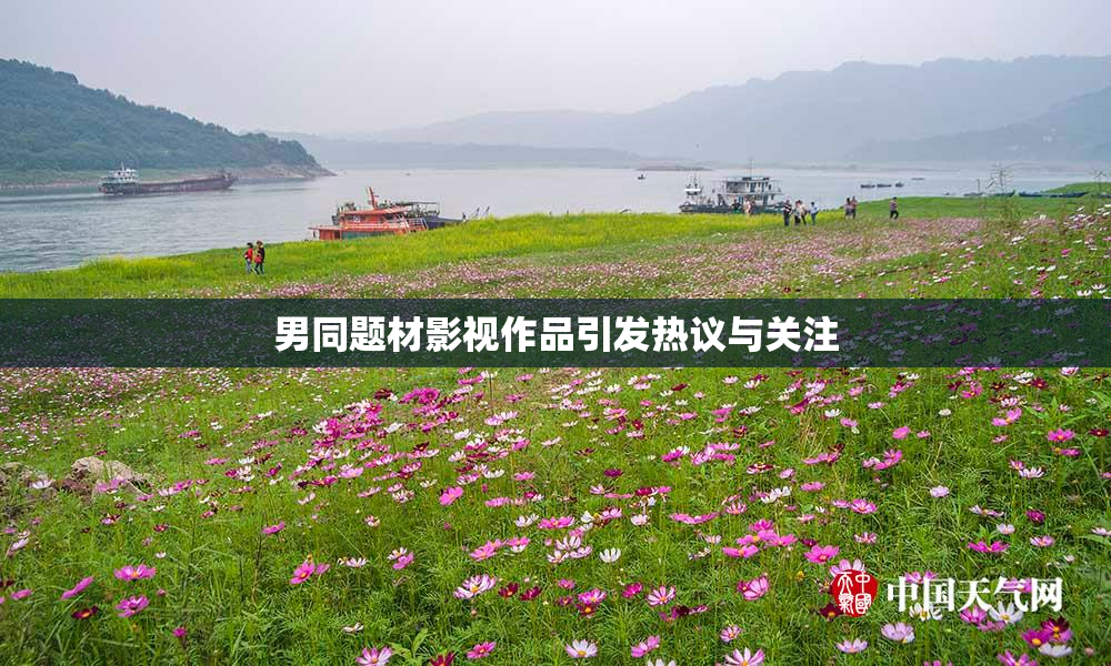 男同题材影视作品引发热议与关注