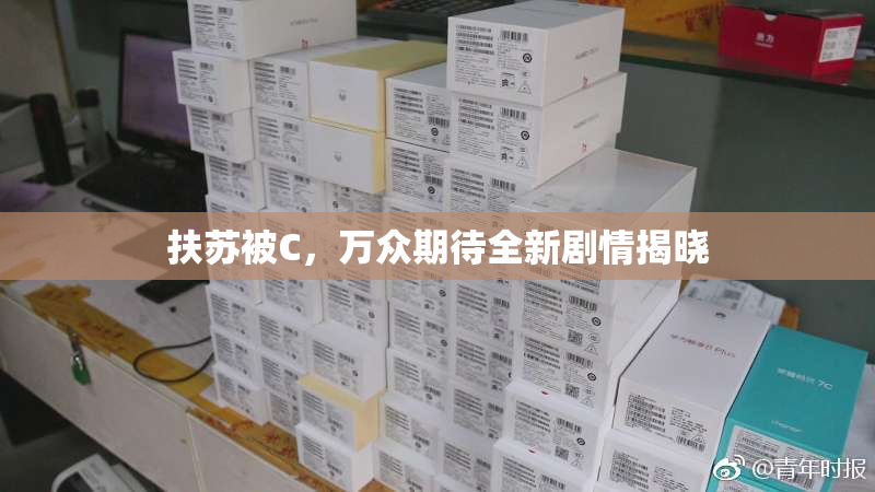 扶苏被C，万众期待全新剧情揭晓