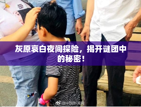 灰原哀白夜间探险，揭开谜团中的秘密！