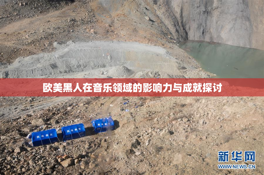 欧美黑人在音乐领域的影响力与成就探讨