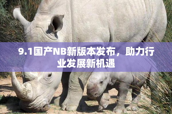 9.1国产NB新版本发布，助力行业发展新机遇