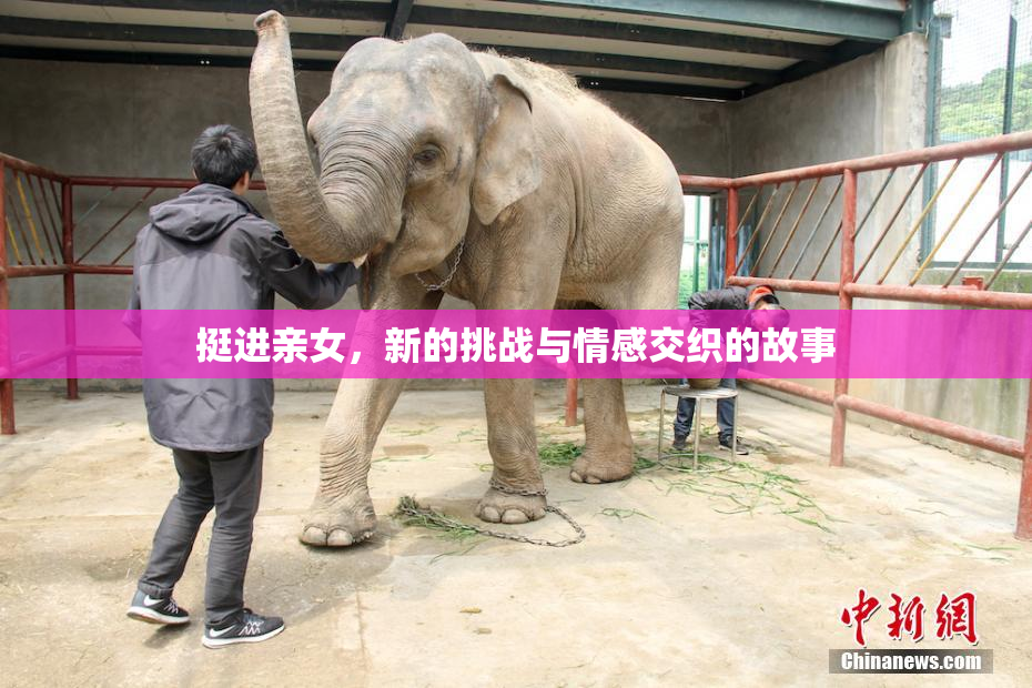 挺进亲女，新的挑战与情感交织的故事