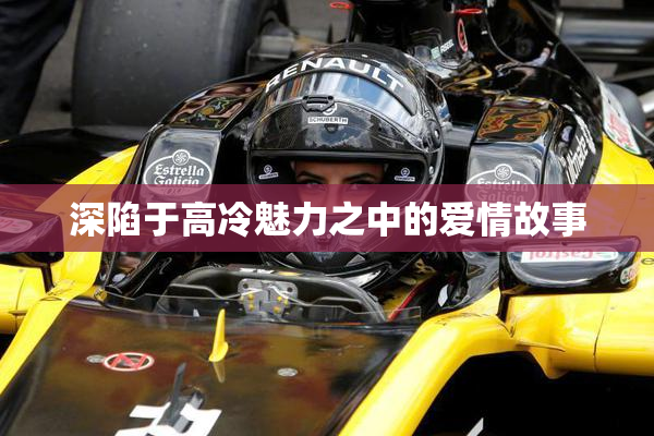 深陷于高冷魅力之中的爱情故事