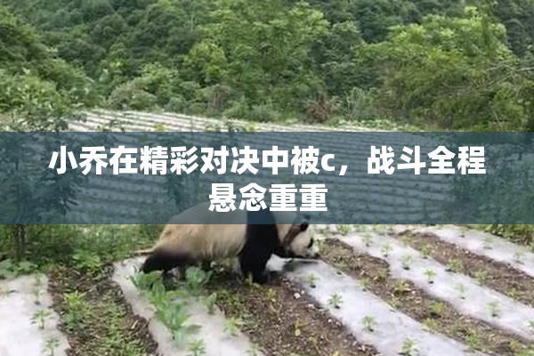 小乔在精彩对决中被c，战斗全程悬念重重
