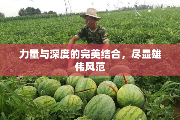 力量与深度的完美结合，尽显雄伟风范