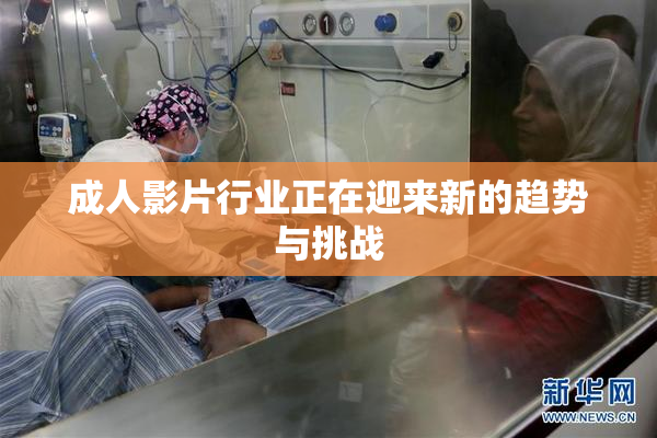 成人影片行业正在迎来新的趋势与挑战