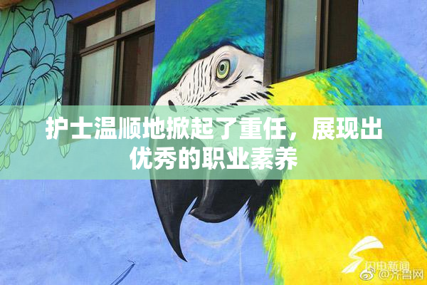 护士温顺地掀起了重任，展现出优秀的职业素养
