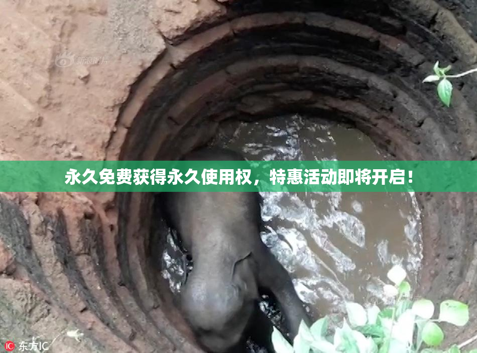 永久免费获得永久使用权，特惠活动即将开启！