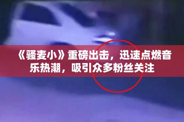 《骚麦小》重磅出击，迅速点燃音乐热潮，吸引众多粉丝关注