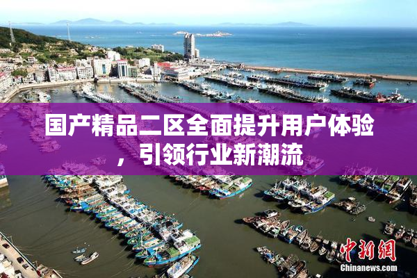 国产精品二区全面提升用户体验，引领行业新潮流