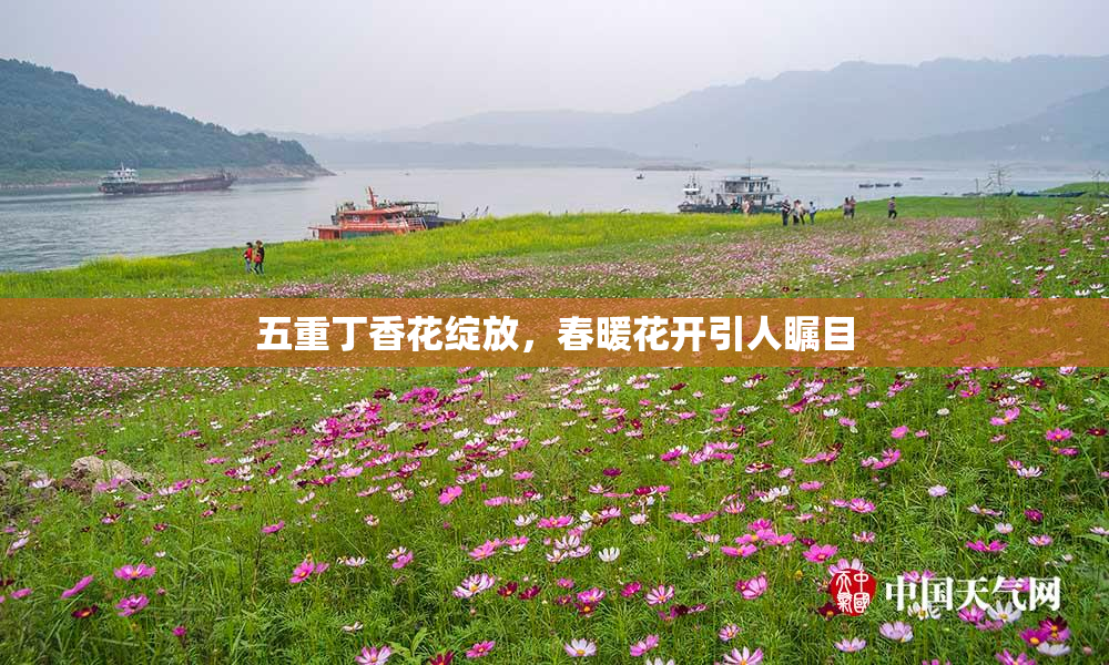 五重丁香花绽放，春暖花开引人瞩目