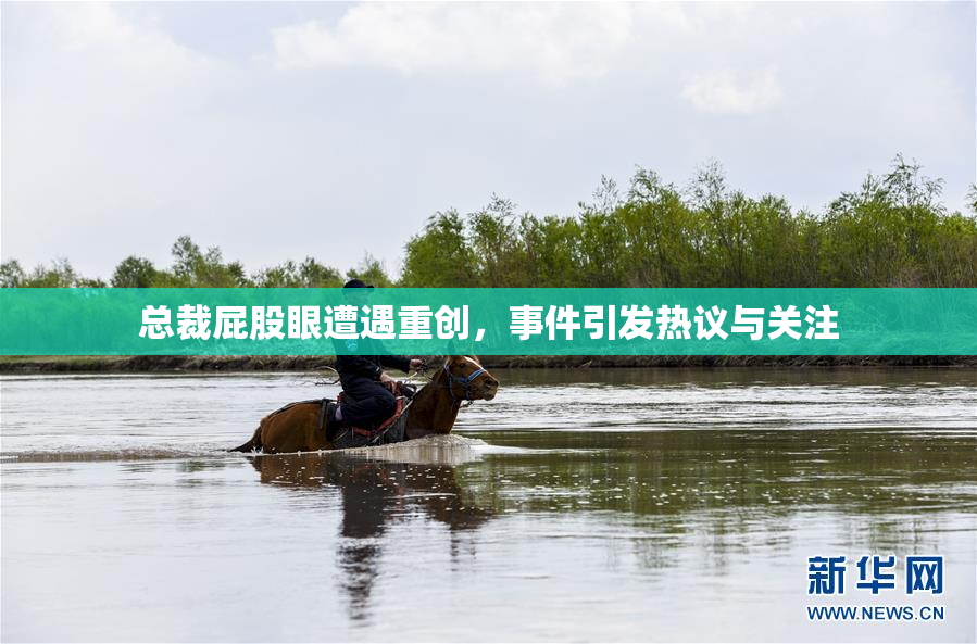 总裁屁股眼遭遇重创，事件引发热议与关注