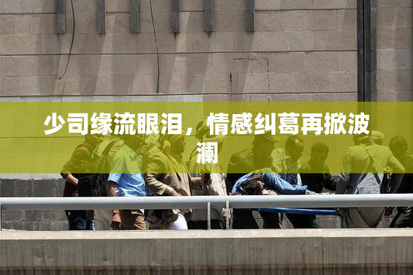 少司缘流眼泪，情感纠葛再掀波澜