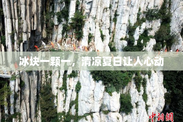 冰块一颗一，清凉夏日让人心动