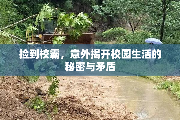 捡到校霸，意外揭开校园生活的秘密与矛盾