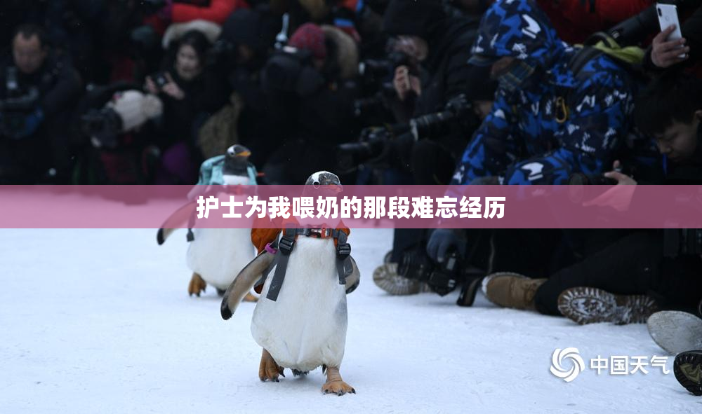 护士为我喂奶的那段难忘经历