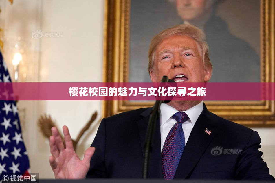樱花校园的魅力与文化探寻之旅