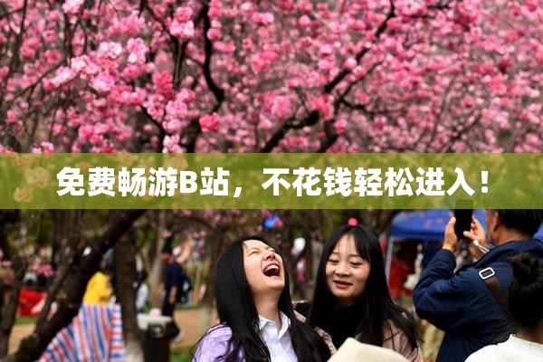 免费畅游B站，不花钱轻松进入！