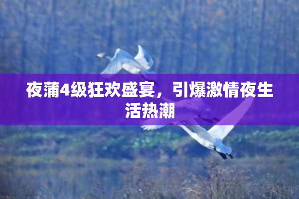 夜蒲4级狂欢盛宴，引爆激情夜生活热潮