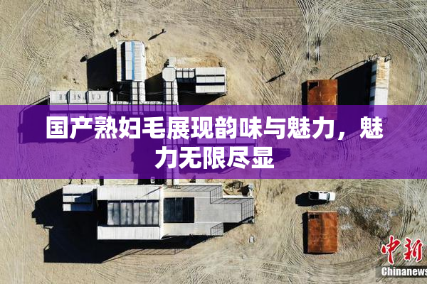 国产熟妇毛展现韵味与魅力，魅力无限尽显