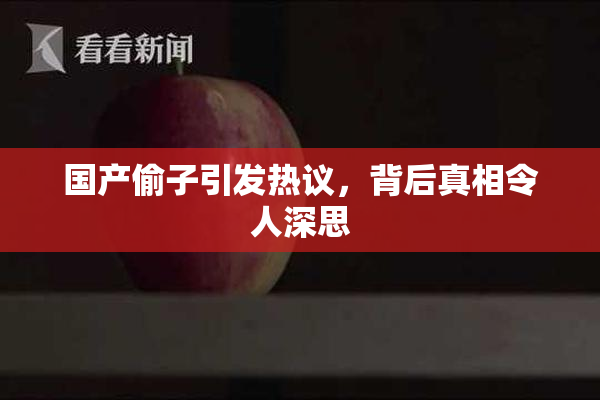 国产偷子引发热议，背后真相令人深思