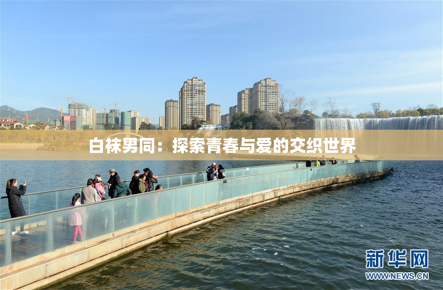 白袜男同：探索青春与爱的交织世界