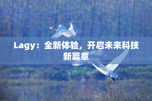 Lagy：全新体验，开启未来科技新篇章