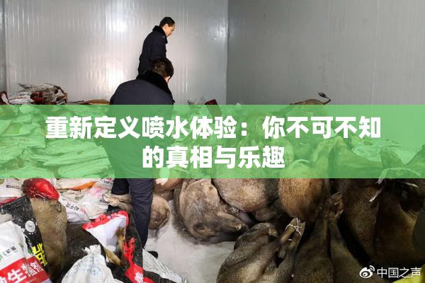 重新定义喷水体验：你不可不知的真相与乐趣