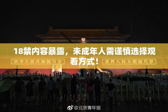18禁内容暴露，未成年人需谨慎选择观看方式！